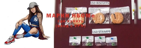 гашик Балахна