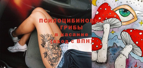 трава Тайга