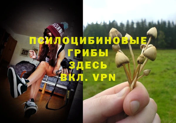 мдпв Балабаново
