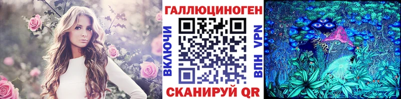 Псилоцибиновые грибы Cubensis Курчатов
