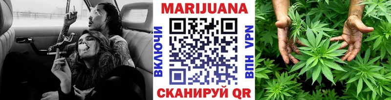 Каннабис SATIVA & INDICA Курчатов